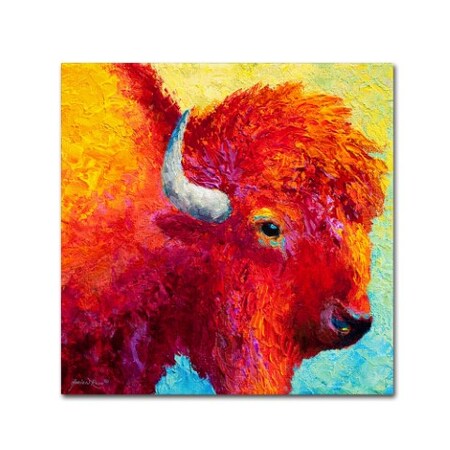 Marion Rose 'Bison Head IV' Canvas Art,18x18